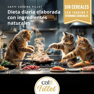 Catit Cuisine Filete. Dieta con ingredientes naturales, sin cereales, con taurina y vitaminas esenciales. Tres gatos cocinan juntos en una cocina. Catit Cuisine Filete. Dieta con ingredientes naturales, sin cereales, con taurina y vitaminas esenciales. Tres gatos cocinan juntos en una cocina.