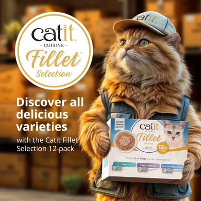 catit Cuisine Fillet Selection, 12-pack. Discover all the delicious varieties: tuna, tuna with shrimp, tuna with chicken breast. catit Cuisine Fillet Selection, 12-pack. Discover all the delicious varieties: tuna, tuna with shrimp, tuna with chicken breast.