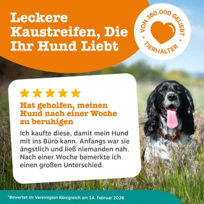 Leckere Kaustreifen, die Ihr Hund liebt. Von 380.000 Tierhaltern geliebt. 5-Sterne-Bewertung: Hat geholfen, meinen Hund nach einer Woche zu beruhigen. Bewertet am 14. Februar 2026. Leckere Kaustreifen, die Ihr Hund liebt. Von 380.000 Tierhaltern geliebt. 5-Sterne-Bewertung: Hat geholfen, meinen Hund nach einer Woche zu beruhigen. Bewertet am 14. Februar 2026.
