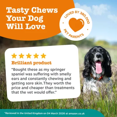 Tasty Chews que a tu perro le encantarán. Valorado con 5 estrellas: Producto brillante. Opinión de cliente y nota: Amado por 380.000 padres de mascotas. Reseña del Reino Unido del 04 de marzo de 2026 en amazon.co.uk. Tasty Chews que a tu perro le encantarán. Valorado con 5 estrellas: Producto brillante. Opinión de cliente y nota: Amado por 380.000 padres de mascotas. Reseña del Reino Unido del 04 de marzo de 2026 en amazon.co.uk.