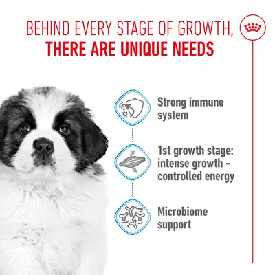 Behind every stage of growth, there are unique needs. Strong immune system, 1st growth stage: intense growth – controlled energy, microbiome support. Behind every stage of growth, there are unique needs. Strong immune system, 1st growth stage: intense growth – controlled energy, microbiome support.