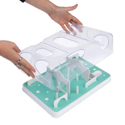 Pet toy with transparent lid removed by hands. Underneath, green base with obstacles and openings.