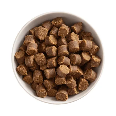 Braune, runde Trockenfutterstücke in einer weissen Schale. Produktabbildung für Tiernahrung.