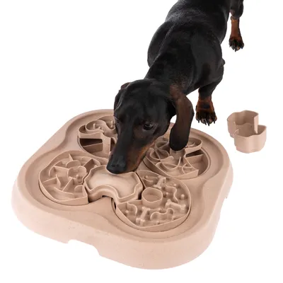Dog playing with interactive food toy made of plastic, featuring multiple compartments and removable parts.