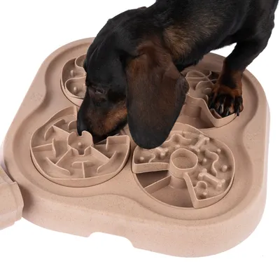 Hund nosar på beige aktivitetsbräda i plast med flera snurrbara fack och labyrinter för godis eller mat.