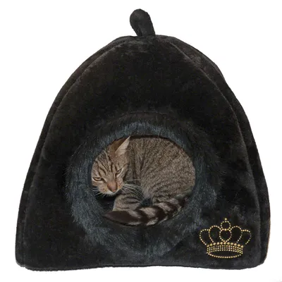 Schwarzes Katzenhaus aus Plüsch mit goldener Kronenstickerei, Katze sitzt im Inneren.