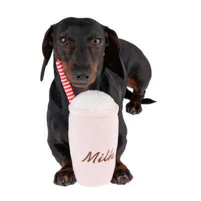 Pes s plišasto igračo v obliki roza mlečnega napitka s črtasto slamico in napisom 'Milk'.
