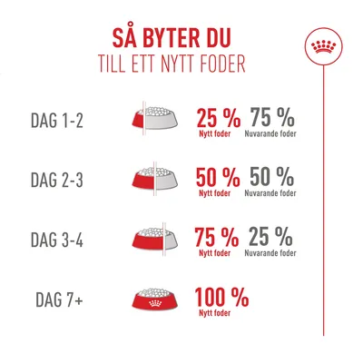 Royal Canin Fussy Exigent