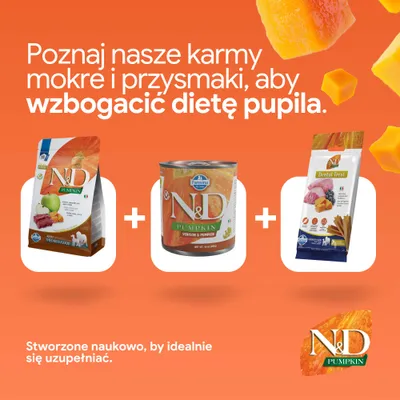 N&D Pumpkin karma sucha, mokra oraz przysmaki dentystyczne marki Farmina przedstawione. Opracowane naukowo dla optymalnej suplementacji żywienia. N&D Pumpkin karma sucha, mokra oraz przysmaki dentystyczne marki Farmina przedstawione. Opracowane naukowo dla optymalnej suplementacji żywienia.