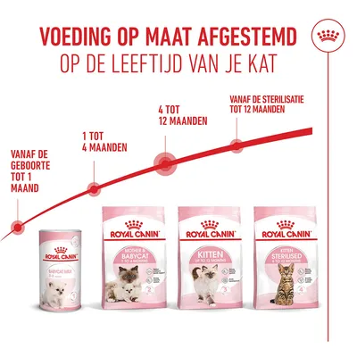 Royal Canin Kitten