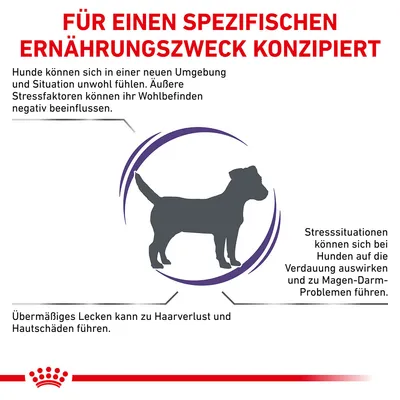 Für einen spezifischen Ernährungszweck konzipiert. Stressfaktoren können Hunde negativ beeinflussen, Verdauung und Hautschäden verursachen. Übermässiges Lecken kann zu Haarverlust führen.