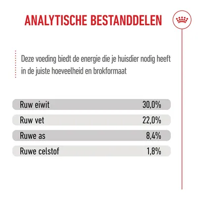 Royal Canin Maxi Starter Mother & Babydog Hondenvoer Royal Canin Maxi Starter Mother & Babydog Hondenvoer