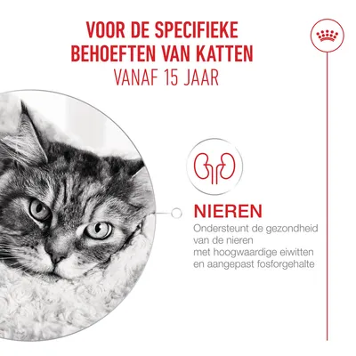 Voor de specifieke behoeften van katten vanaf 15 jaar. Nieren: Ondersteunt de gezondheid met hoogwaardige eiwitten en een aangepast fosforgehalte. Voor de specifieke behoeften van katten vanaf 15 jaar. Nieren: Ondersteunt de gezondheid met hoogwaardige eiwitten en een aangepast fosforgehalte.