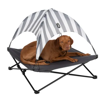 Hund liegt auf einem erhöhten schwarzen Liegebett mit gestreiftem Sonnenschutz und TAK-Logo.