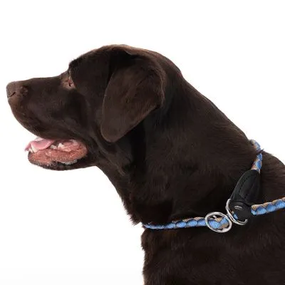 TIAKI Retrieverlijn Twist