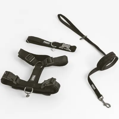 Black harness set with adjustable straps, click fasteners and matching lead. Metal rings for secure attachment visible.