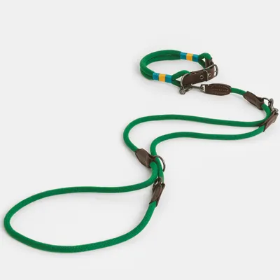 Guinzaglio verde per cani con dettagli in pelle marrone e collare regolabile, strisce decorative gialle e blu sul collare.