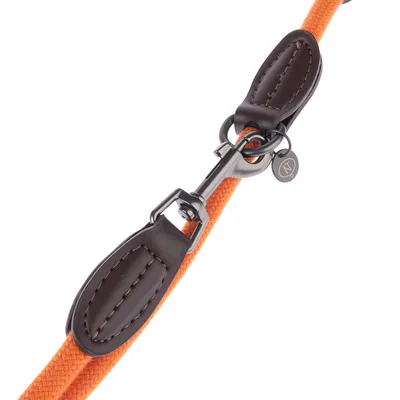 Detailansicht einer orangefarbenen Hundeleine mit braunen Lederakzenten und Metallverschluss.