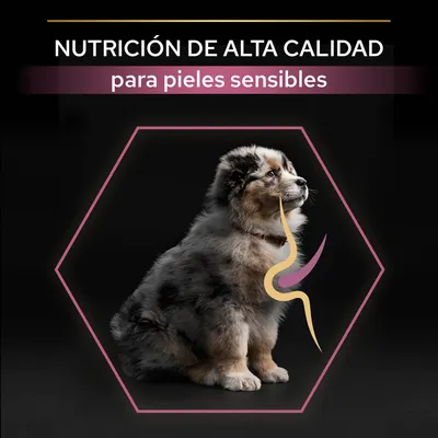 Texto: NUTRICIÓN DE ALTA CALIDAD para pieles sensibles. Imagen de un perro con gráfico estilizado sobre el abdomen, fondo negro y marco hexagonal rosa.