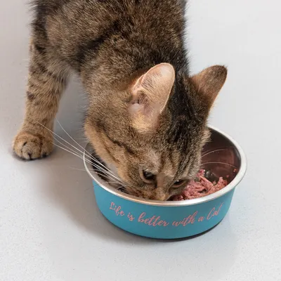 TIAKI zdjelica od nehrđajućeg čelika "Better With A Cat"