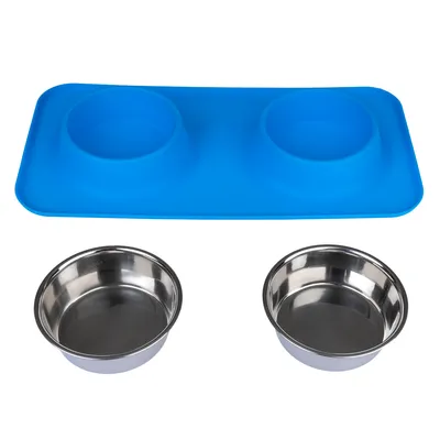 Double bowl set with two stainless steel bowls and blue silicone mat, suitable for food or water.
