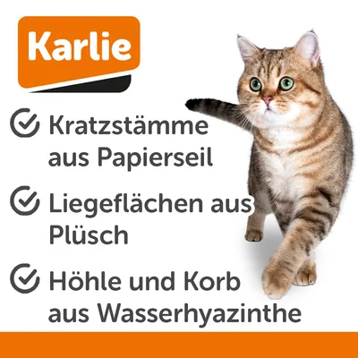 Arbre à chat Karlie Scuro II