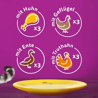 Produktvarianten: mit Huhn x3, mit Geflügel x3, mit Ente x3, mit Truthahn x3. Gelber Teller im Vordergrund.