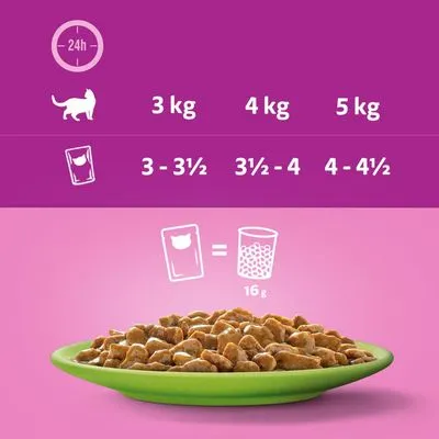 Multipack Whiskas Senior Pliculețe 12 x 85 g