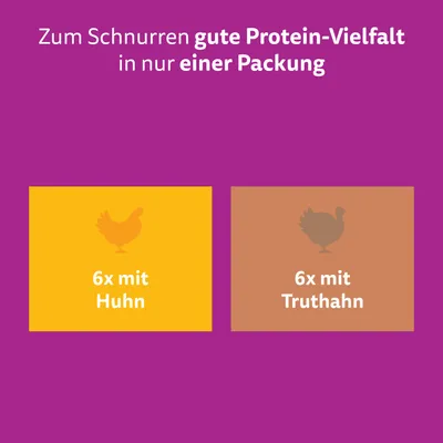 Multipack Whiskas Senior Frischebeutel 12 x 85 g