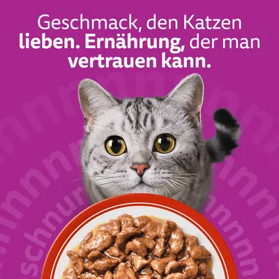 Multipack Whiskas 1+ Adult Frischebeutel 12 x 85 g