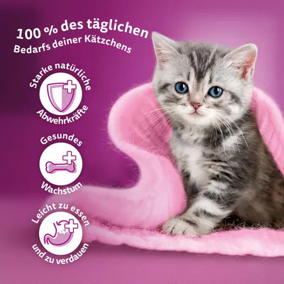 100% a cicád napi szükségletéből. Erős természetes védekezőképesség, egészséges növekedés, könnyen fogyasztható és emészthető.