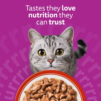 Whiskas 1+ Meaty Meals in Gravy