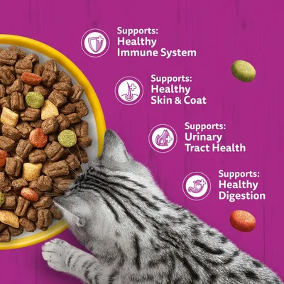 Whiskas 1+ Chicken - 3.8kg Whiskas 1+ Chicken - 3.8kg
