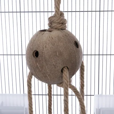 Hængende legetøj af kokosnød med reb, egnet til bure. Kugleformet design med flere åbninger.