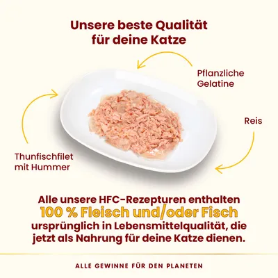 Assiette avec filet de thon et homard, gélatine végétale, riz. Texte en allemand : 100 % viande et/ou poisson qualité alimentaire dans toutes les recettes HFC pour chats.