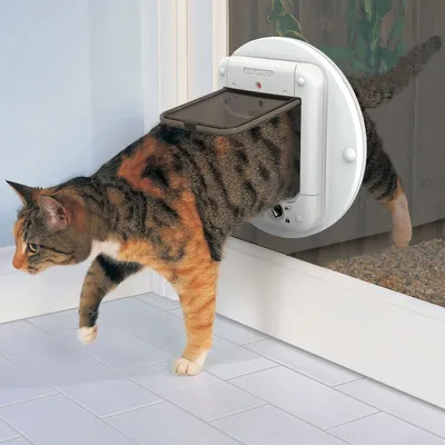 Gato saliendo por una gatera redonda instalada en una puerta de cristal. Marca visible: CAT MATE.