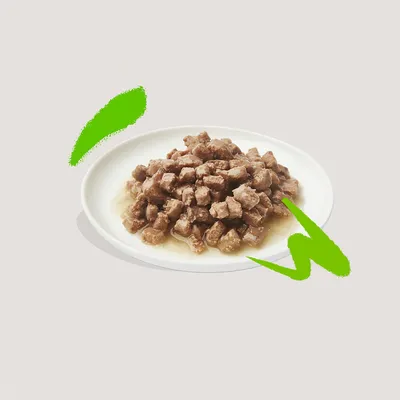 Wit bord met natvoer in blokjes en gelei, geen merknaam of verpakking zichtbaar.