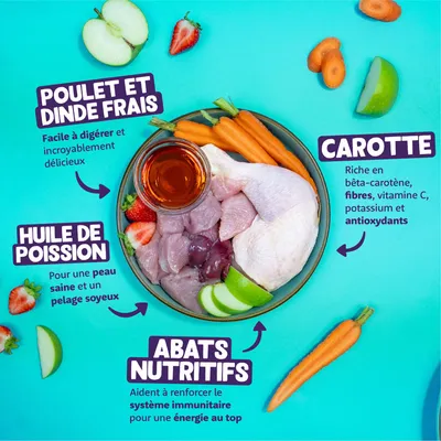 Ingrédients : poulet et dinde frais, carottes avec bêta-carotène et antioxydants, huile de poisson pour une peau saine, abats riches en nutriments pour renforcer le système immunitaire.