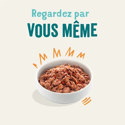 Regardez par VOUS MÊME. Texte au-dessus d’un bol blanc rempli de pâtée pour animaux.