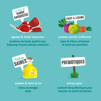 Productbeschrijving: lam en rund met hoogwaardige eiwitten, fruit en groenten zoals appel, wortel, rode biet, gezonde oliën uit zalm en lijnzaadolie, en prebiotica voor darmgezondheid.