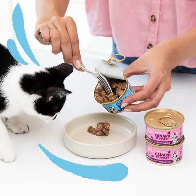 Blikje natvoer met label 'Canard et Poulet' wordt in een voerbakje geschept, zwart-witte kat kijkt toe. Twee extra blikjes met hetzelfde label zichtbaar.