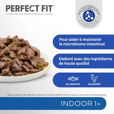 PERFECT FIT, pour aider à maintenir le microbiome intestinal, élaboré avec des ingrédients de haute qualité, au saumon, au poulet, INDOOR 1+, avec des prébiotiques naturels.