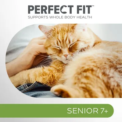 PERFECT FIT, SUPPORTS WHOLE BODY HEALTH, SENIOR 7+ – tekst w języku angielskim na zdjęciu kota leżącego na kolanach człowieka