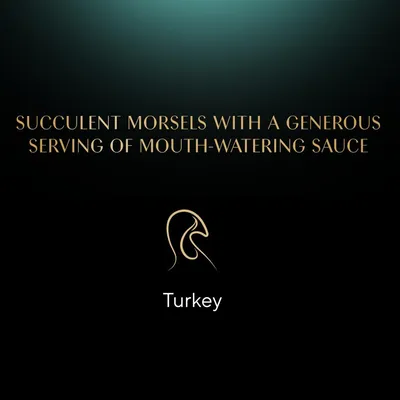 Succulent morsels with a generous serving of mouth-watering sauce. Turkey.