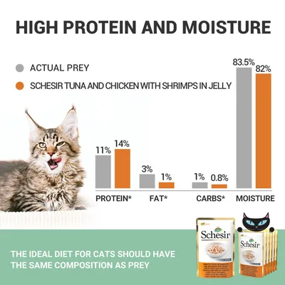 Schesir Tuna and Chicken with Shrimps in Jelly tápanyag-összehasonlító diagram: fehérje 14 %, zsír 1 %, szénhidrát 0,8 %, nedvesség 82 %. Csomagolás és macska látható.