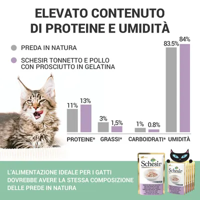 Grafico a barre: confronto tra preda in natura e Schesir tonnetto e pollo con prosciutto in gelatina per proteine, grassi, carboidrati, umidità. Testo: alimentazione ideale per gatti.