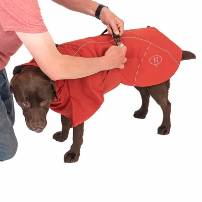 Persoon bevestigt een rode hondenjas met reflecterende strepen en NT-logo op een bruine hond.