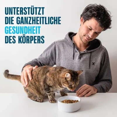 Unterstützt die ganzheitliche Gesundheit des Körpers. Mann streichelt Katze, die aus einem Napf frisst.