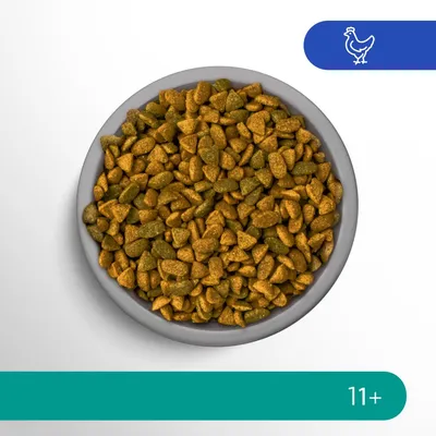Croquettes bicolores dans une gamelle, pictogramme poulet en haut à droite, mention « 11+ » en bas à droite.