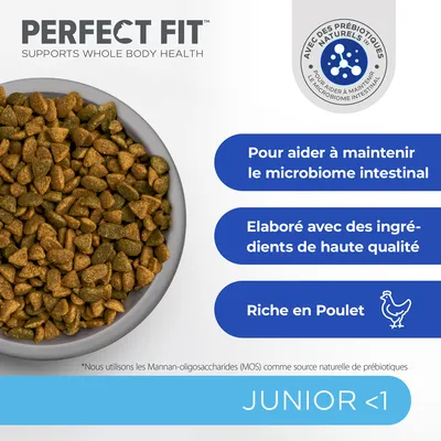 Perfect Fit Junior <1, croquettes dans une assiette, avec texte : pour aider à maintenir le microbiome intestinal, élaboré avec des ingrédients de haute qualité, riche en poulet.
